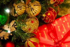 xmas07-1000-1